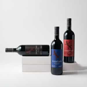 ZANTHO red wine assortment